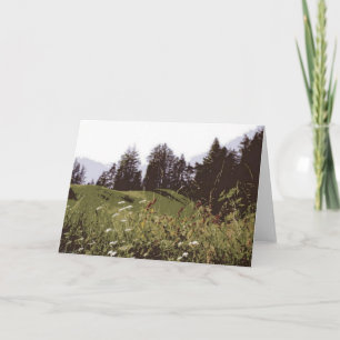 High Mountain Paradise greeting card