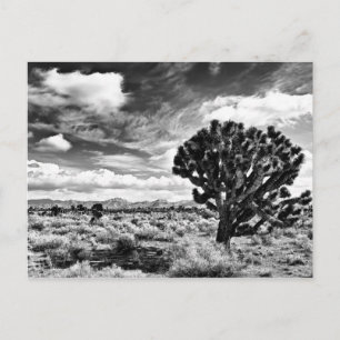 High Noon Postcard
