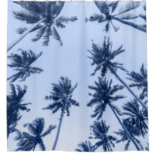 High palm trees, clear blue sky.