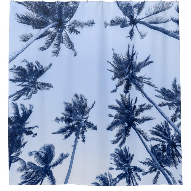 High palm trees, clear blue sky. (Front)