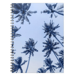 High palm trees, clear blue sky. notebook