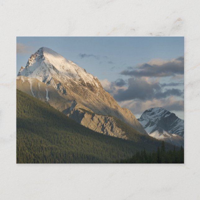 High peak near Maligne Lake, Jasper National Postcard (Front)