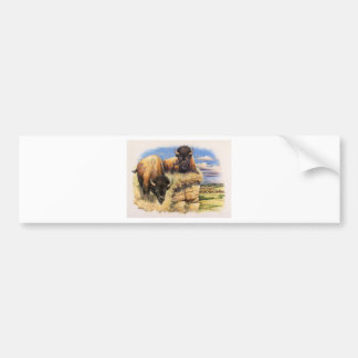 High Plains Bison Bumper Sticker