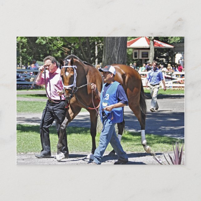 High Ransom Postcard (Front)