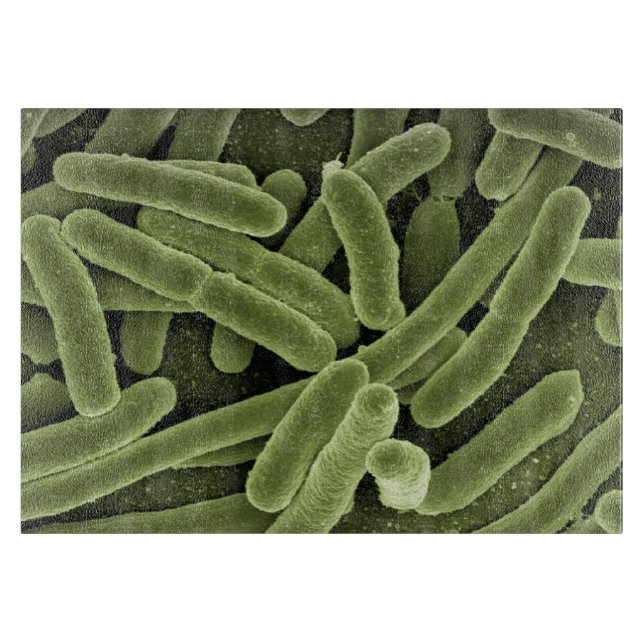 High-res Germ Cutting Board (Front)