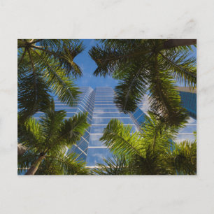 High rise buildings postcard