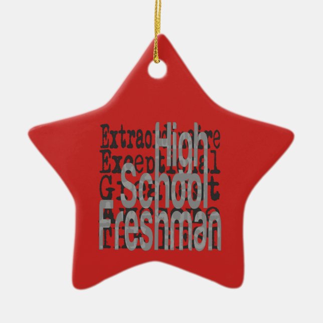 High School Freshman Extraordinaire Ceramic Ornament (Front)