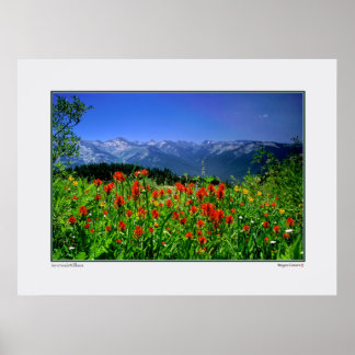 High Sierra Nevada Wildflowers Poster