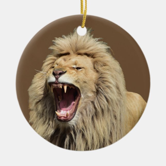 High Tension Lion Ceramic Ornament (Front)
