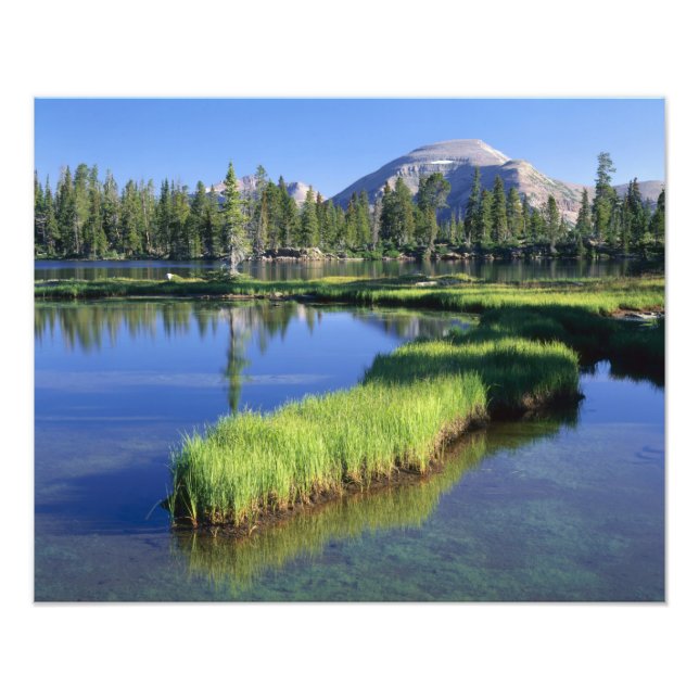 HIGH UINTAS WILDERNESS, UT, US, penisula, Photo Print (Front)