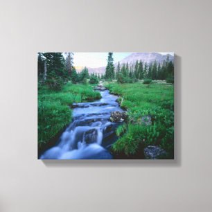 HIGH UINTAS WILDERNESS, UTAH. Stillwater Fork Canvas Print