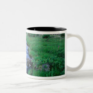HIGH UINTAS WILDERNESS, UTAH. Stillwater Fork Two-Tone Coffee Mug
