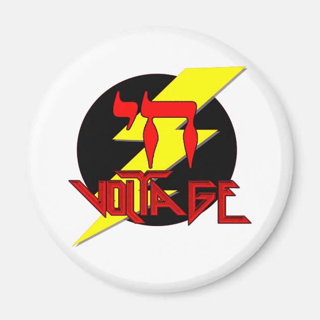HIGH VOLTAGE MAGNET (Front)