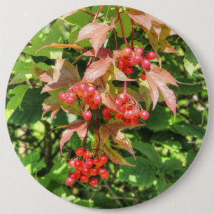 Highbush Cranberries 6 Inch Round Button