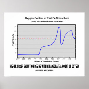 Higher Order Evolution Begins Adequate Amt Oxygen Poster