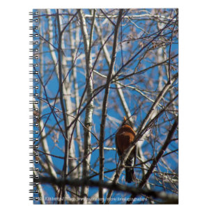 Higher Up Notebook