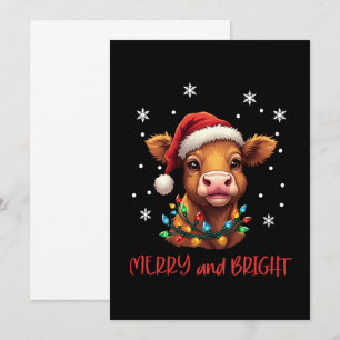 Highland Baby Cow Christmas Lights  Invitation