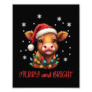 Highland Baby Cow Christmas Lights  Photo Print