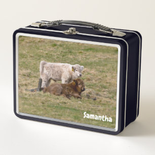 Highland Calves Metal Lunchbox