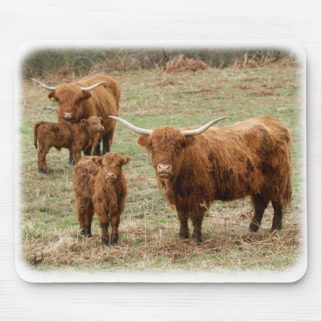 Highland Cattle 9Y316D-055 Mouse Pad (Front)