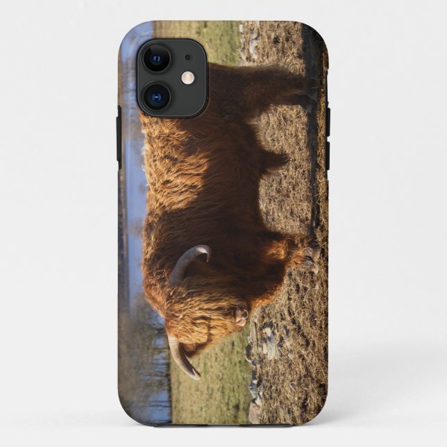 Highland Cattle Bull, Scotland Case-Mate iPhone Case (Back)