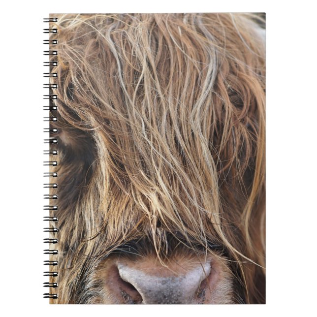 HIGHLAND CATTLE COW FACE NOTEBOOK (Front)