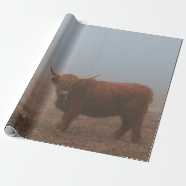 HIGHLAND CATTLE COW WRAPPING PAPER (Unrolled)