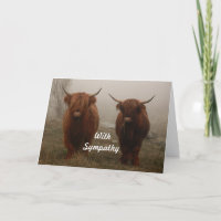 Highland Cattle Fog Photo Sympathy