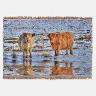 Highland Cattle in Winter Snow Throw Blanket