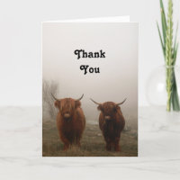 Highland Cattle