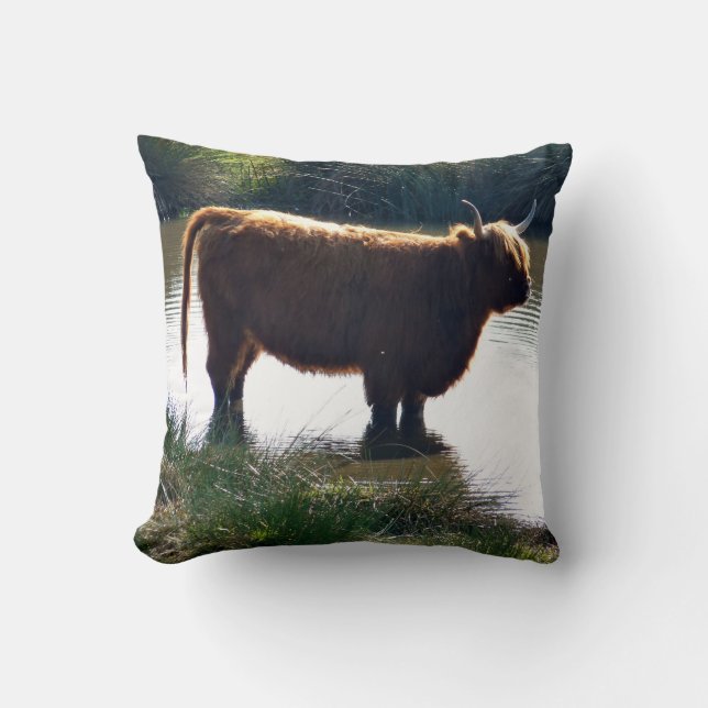 Highland Cattle Throw Pillow (Front)