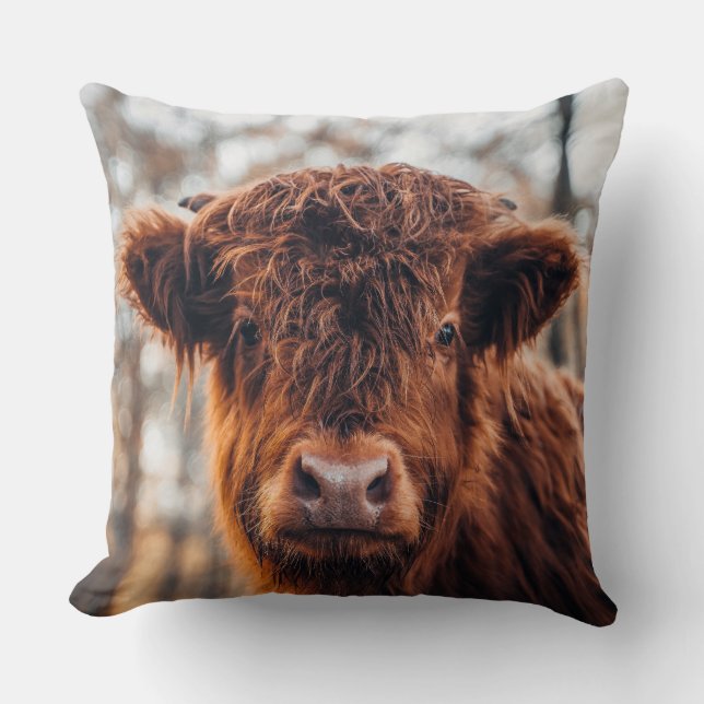Highland Cattle Throw Pillow (Front)