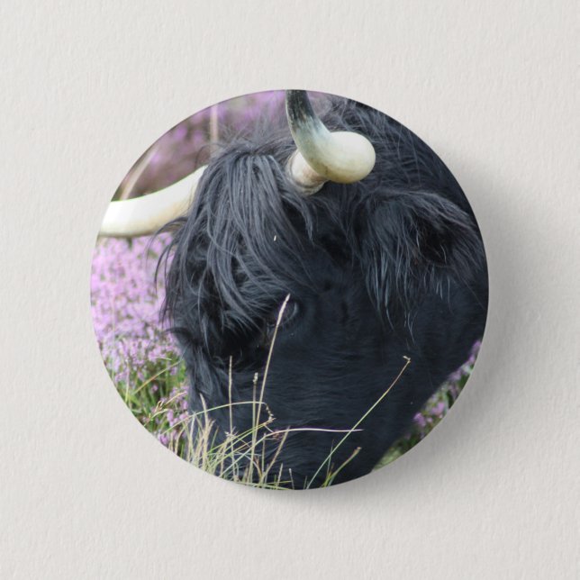 Highland Coo 2 Inch Round Button (Front)