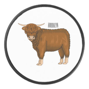 Highland cow