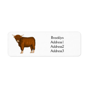 Highland cow
