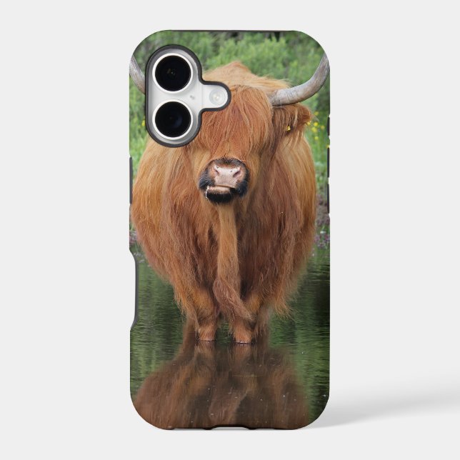 Highland cow (Back)