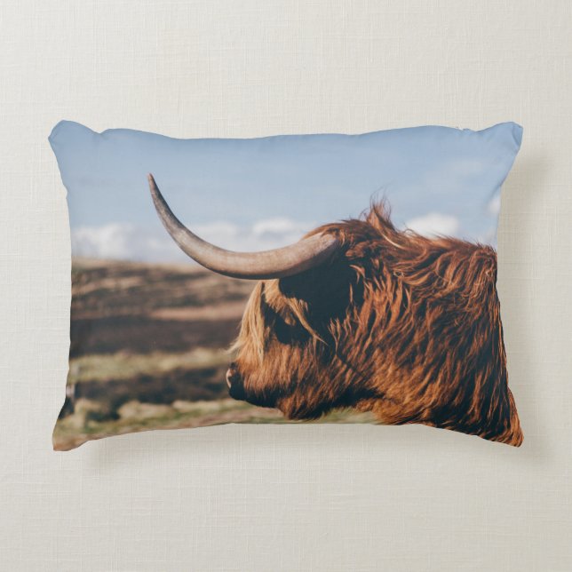 HIGHLAND COW ACCENT PILLOW (Front)