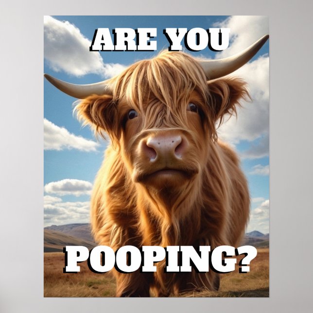 Highland Cow Are you Pooping Funny Toilet Bathroom Poster (Front)