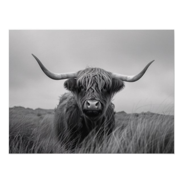 Highland Cow Black and White Decoupage Poster (Front)