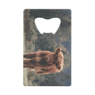 Highland cow calf autumn grass field credit card bottle opener