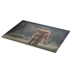 Highland cow calf autumn grass field cutting board