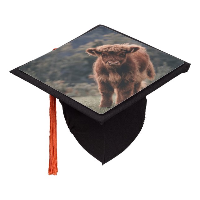 Highland cow calf autumn grass field graduation cap topper (Angled)