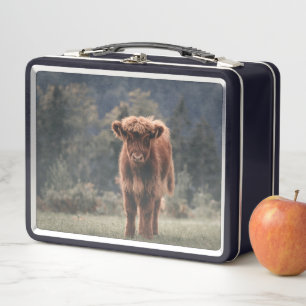 Highland cow calf autumn grass field metal lunch box