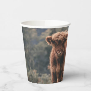 Highland cow calf autumn grass field paper cups