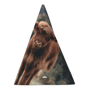 Highland cow calf autumn grass field party hat