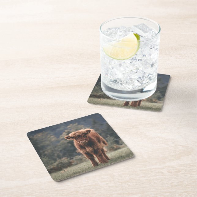 Highland cow calf autumn grass field square paper coaster (Insitu)