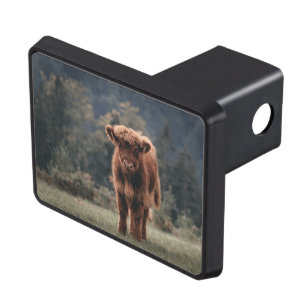 Highland cow calf autumn grass field trailer hitch cover