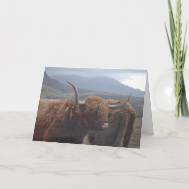 Highland Cow Card (Front)