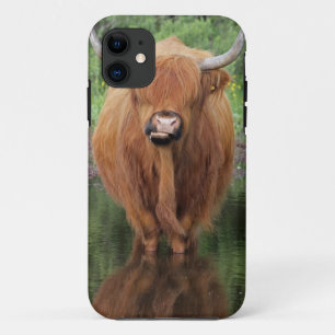 Highland cow iPhone 11 case
