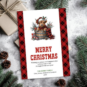 Highland cow Christmas card red poinsettias